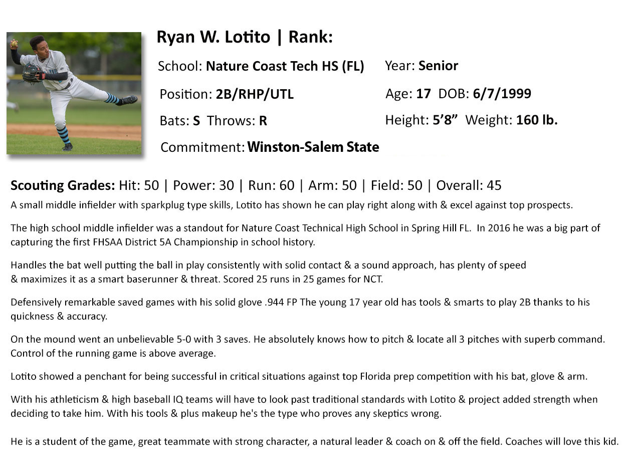 Scout Report